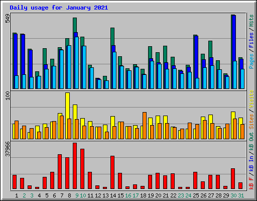 Daily usage for January 2021