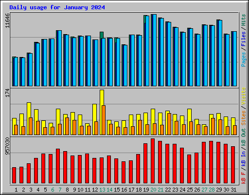 Daily usage for January 2024