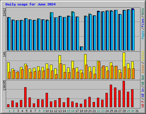 Daily usage for June 2024