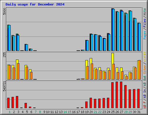 Daily usage for December 2024
