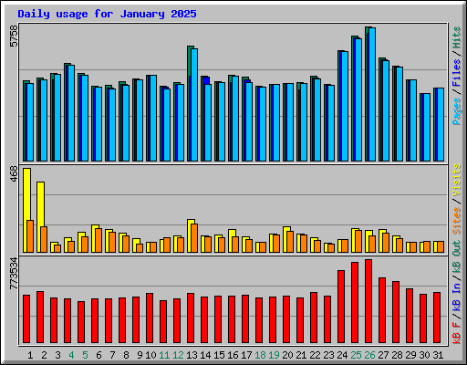 Daily usage for January 2025
