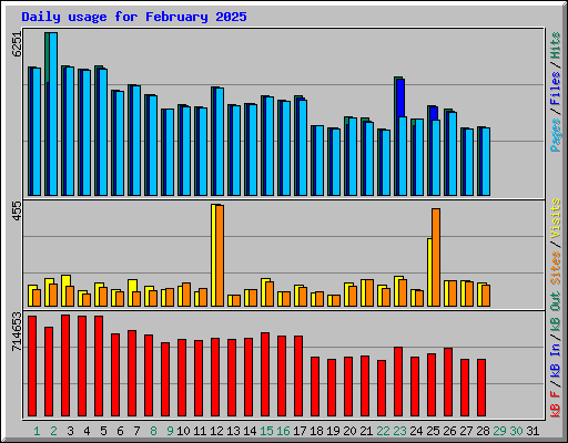 Daily usage for February 2025