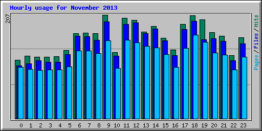 Hourly usage for November 2013