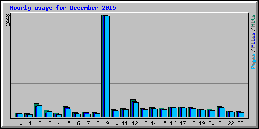 Hourly usage for December 2015