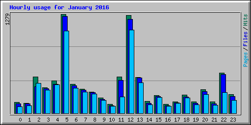 Hourly usage for January 2016