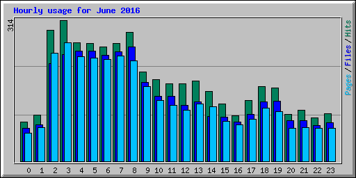 Hourly usage for June 2016