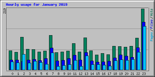 Hourly usage for January 2019