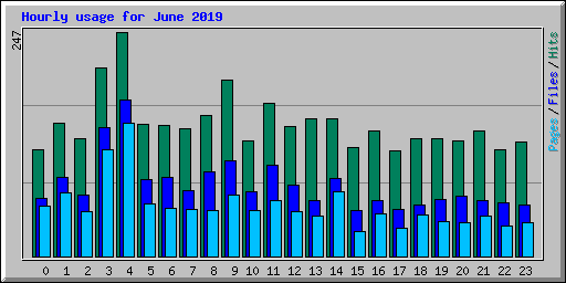 Hourly usage for June 2019