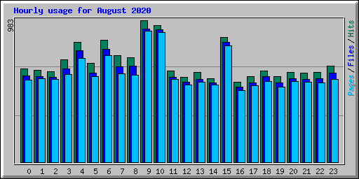 Hourly usage for August 2020