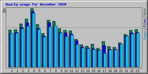 Hourly usage for December 2020