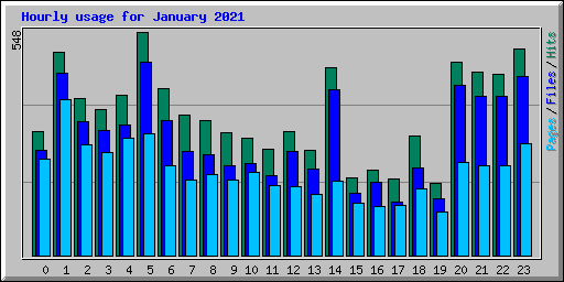 Hourly usage for January 2021