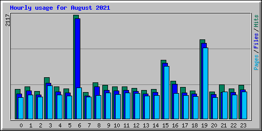 Hourly usage for August 2021