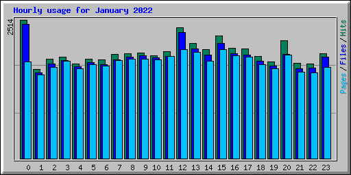 Hourly usage for January 2022
