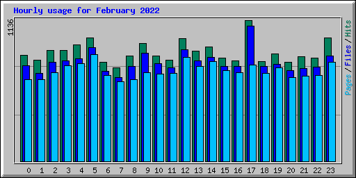 Hourly usage for February 2022