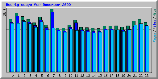Hourly usage for December 2022