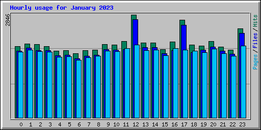 Hourly usage for January 2023