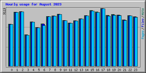 Hourly usage for August 2023