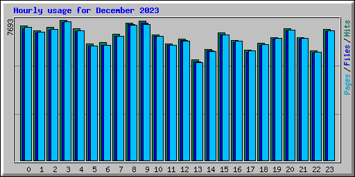 Hourly usage for December 2023