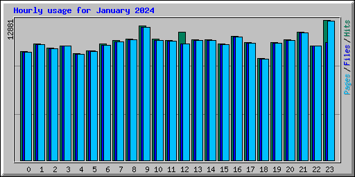 Hourly usage for January 2024