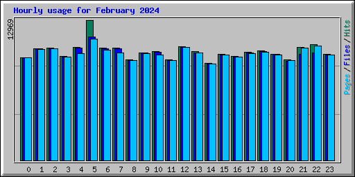 Hourly usage for February 2024