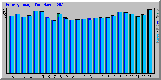 Hourly usage for March 2024