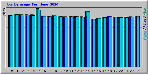 Hourly usage for June 2024
