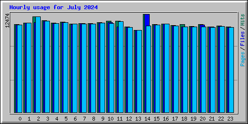 Hourly usage for July 2024