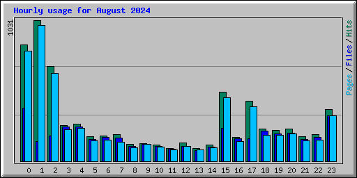 Hourly usage for August 2024