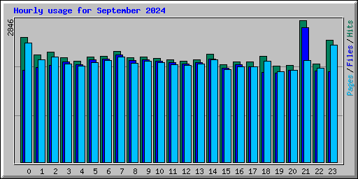 Hourly usage for September 2024