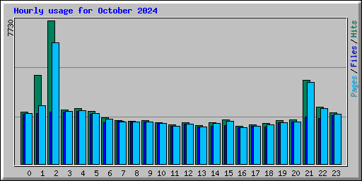 Hourly usage for October 2024