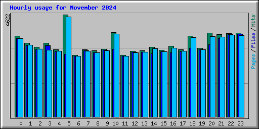 Hourly usage for November 2024