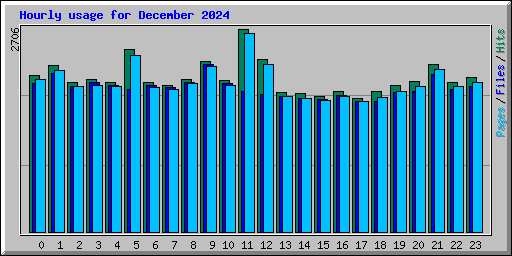 Hourly usage for December 2024