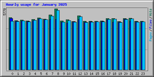 Hourly usage for January 2025