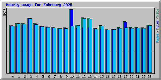 Hourly usage for February 2025
