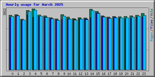 Hourly usage for March 2025