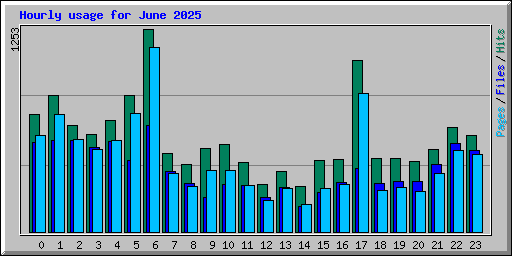 Hourly usage for June 2025