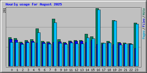 Hourly usage for August 2025