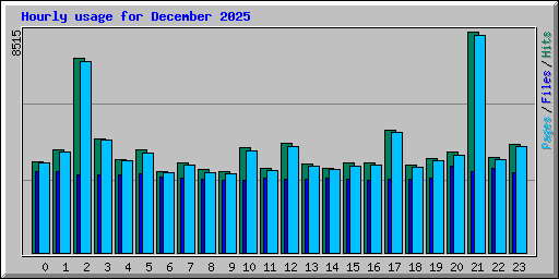 Hourly usage for December 2025