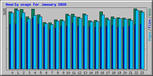 Hourly usage for January 2026